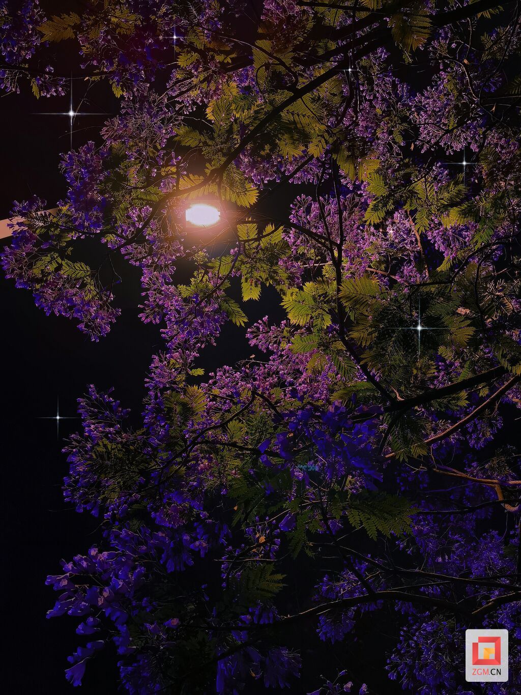 retouch_2023051121482246.jpg