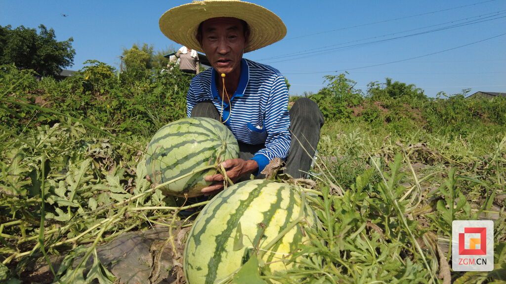 微信图片_20250618164801.jpg