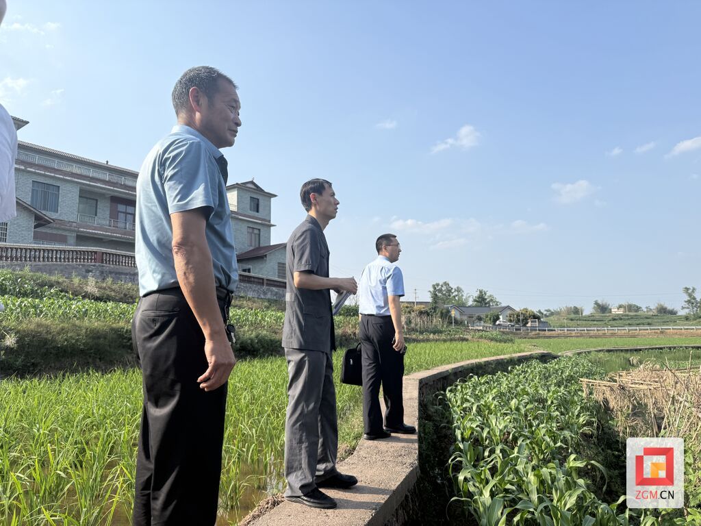 实地查看照片.jpg