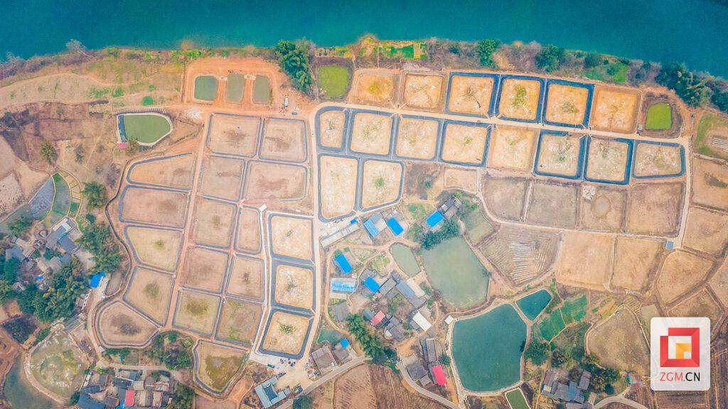 DJI_0664.jpg