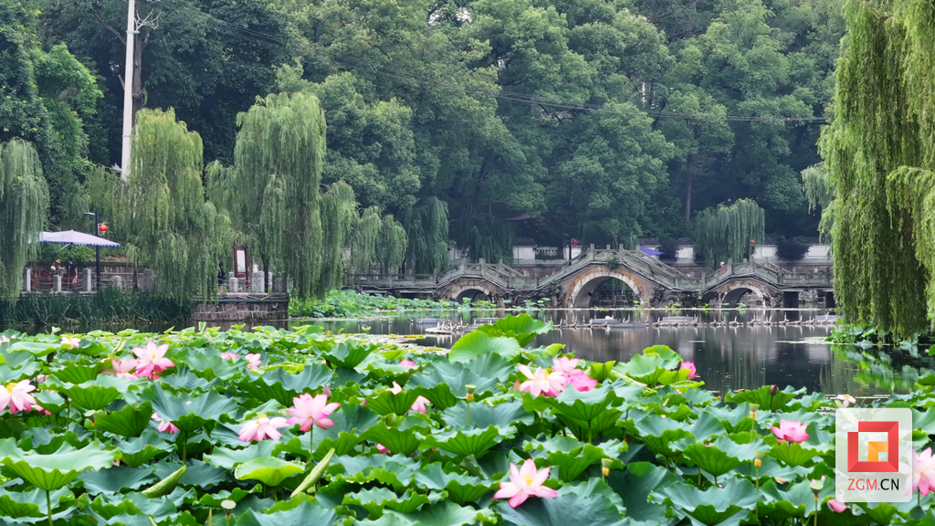 富顺西湖.png