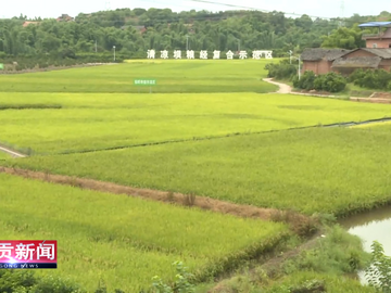 自贡新闻丨沙溪潮涌文脉兴 以“文化基因”浇灌乡村振兴沃土