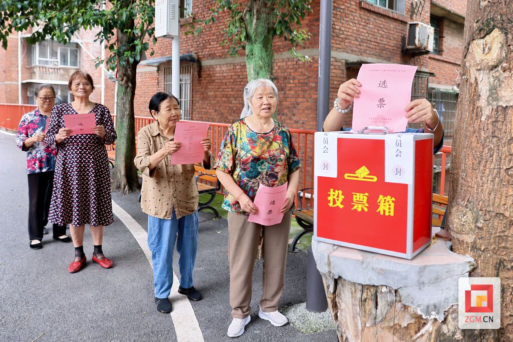 根据不同群体提供适宜的投票方式 实习生 白可摄.jpg