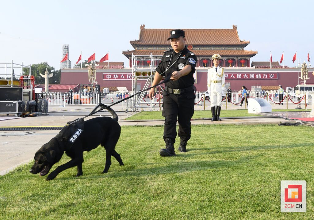 圖：陳利攜警犬參加新中國(guó)成立70周年慶?；顒?dòng)的安保工作（資料圖）