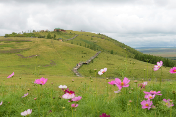 额尔古纳湿地景色。（中国日报网 赵诗悦/摄）