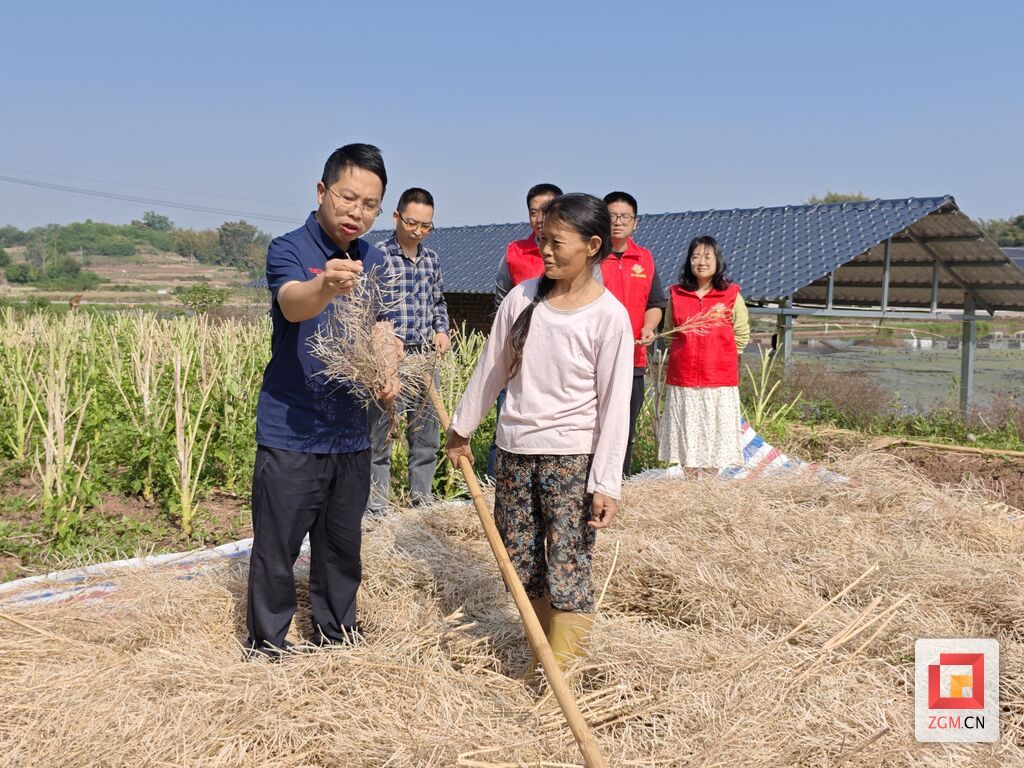 了解粮油作物生产其情况  曾鹏程摄.jpg