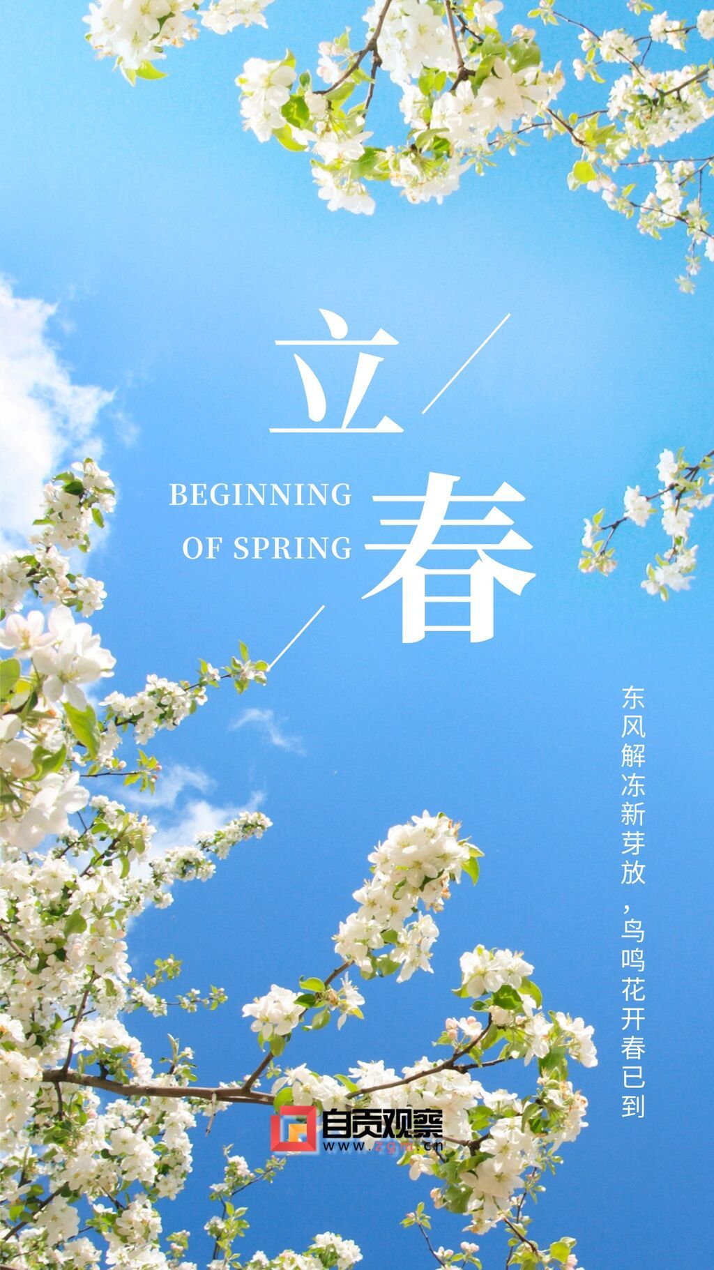 立春問候實景清新手機海報 (1).jpg