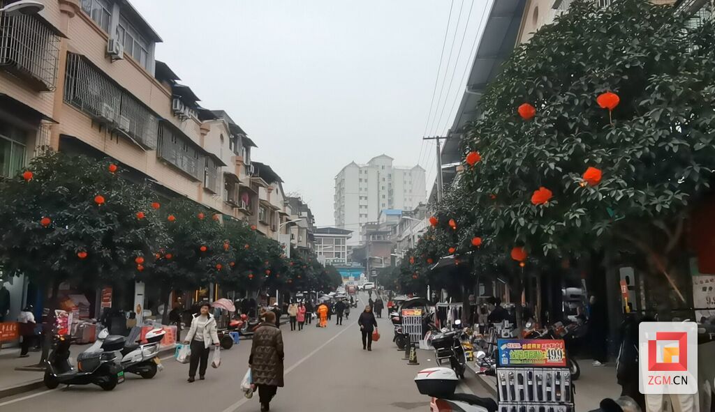 微信圖片_20240205144927.jpg