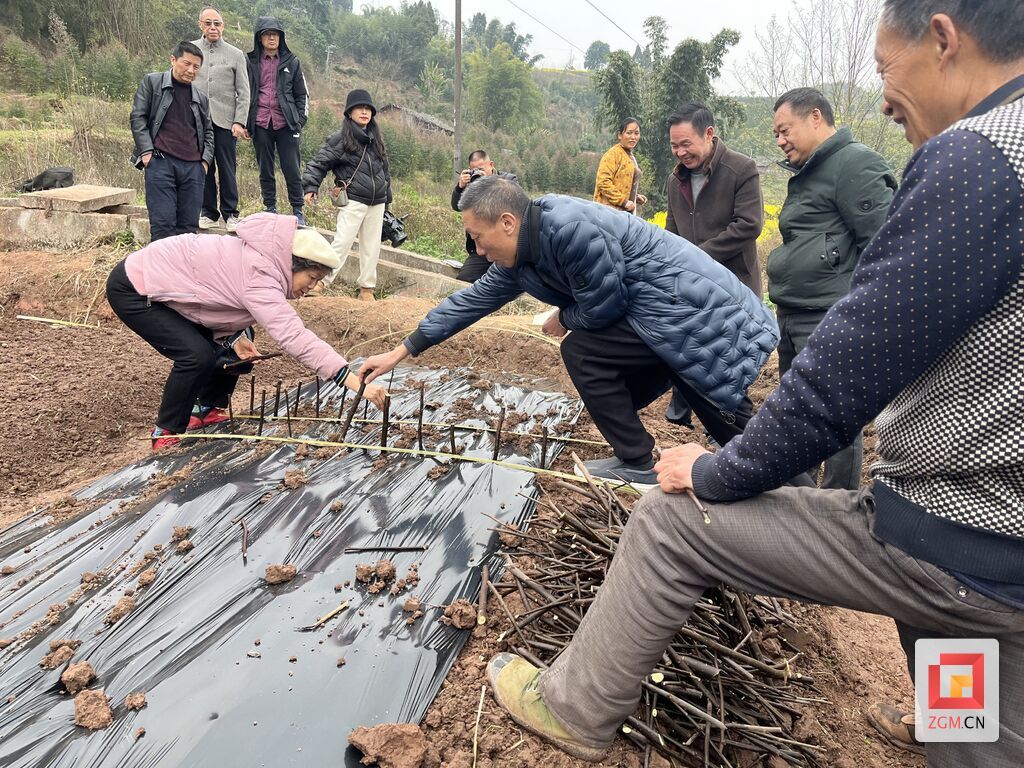 “五老”助力乡村振兴.jpg