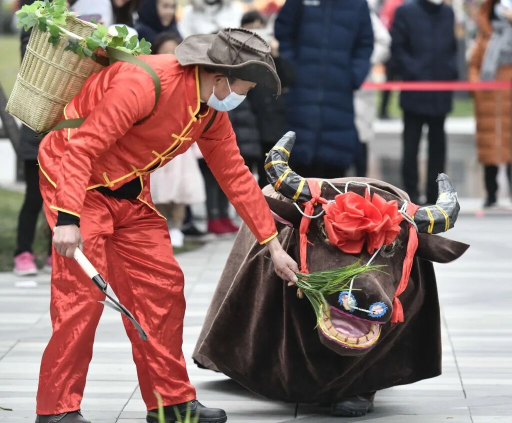圖片