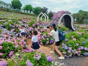 我的乡村超安逸 ︱ 贡井区建设镇：城郊观光农业进入夏季模式 五彩荷园迎来颜值巅峰