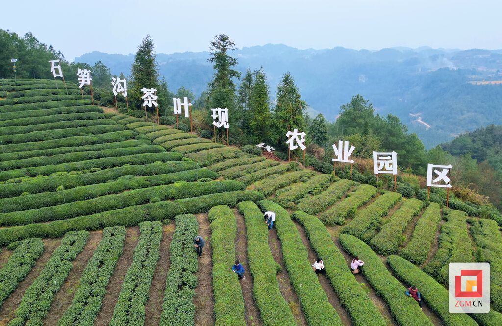 微信圖片_20250303161340.jpg