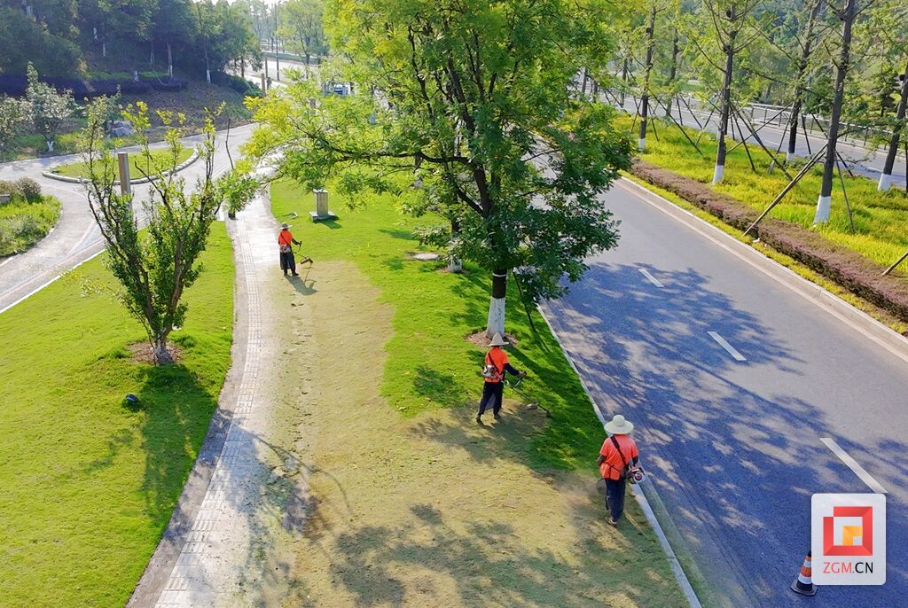 图为7月8日,在卧龙湖湿地公园旁,绿化工人戴着遮阳帽、防尘罩除杂草。 (2).jpg