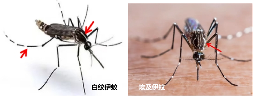 微信图片_20250905163700_277_146.png