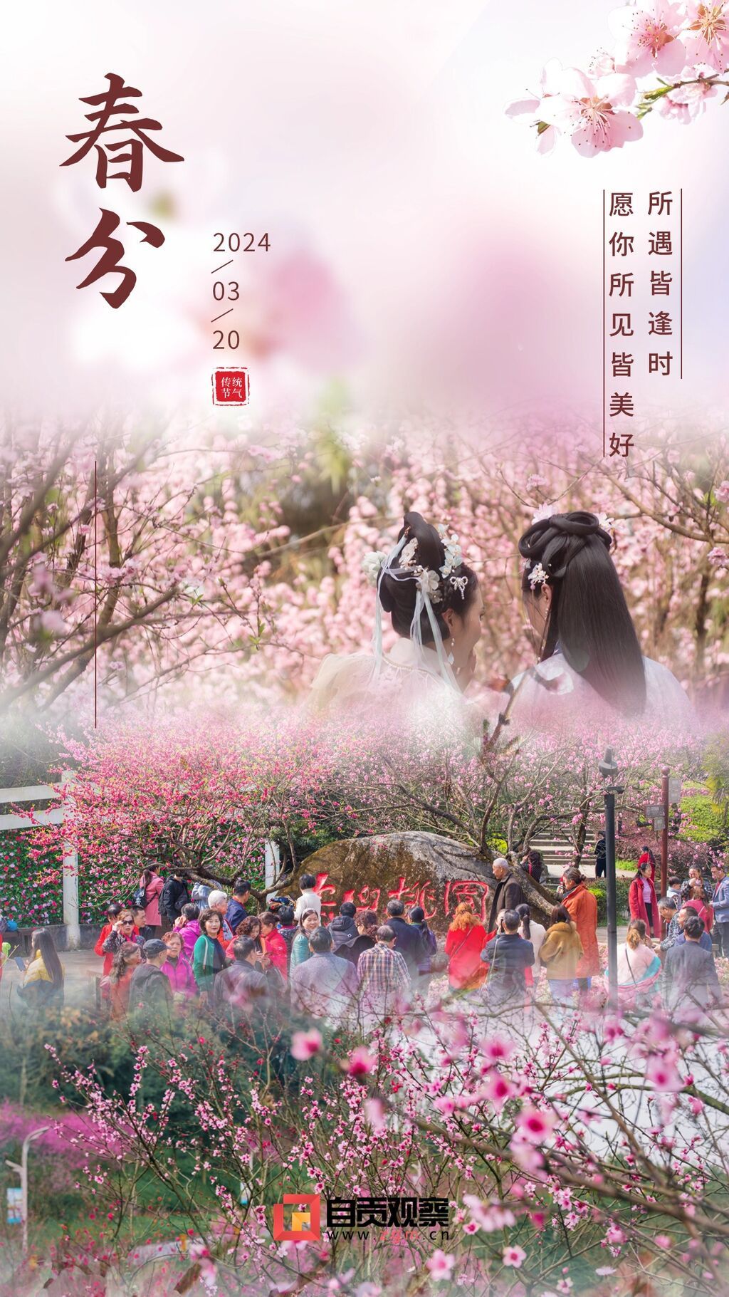 春分节气问候祝福春天实景手机海报.jpg