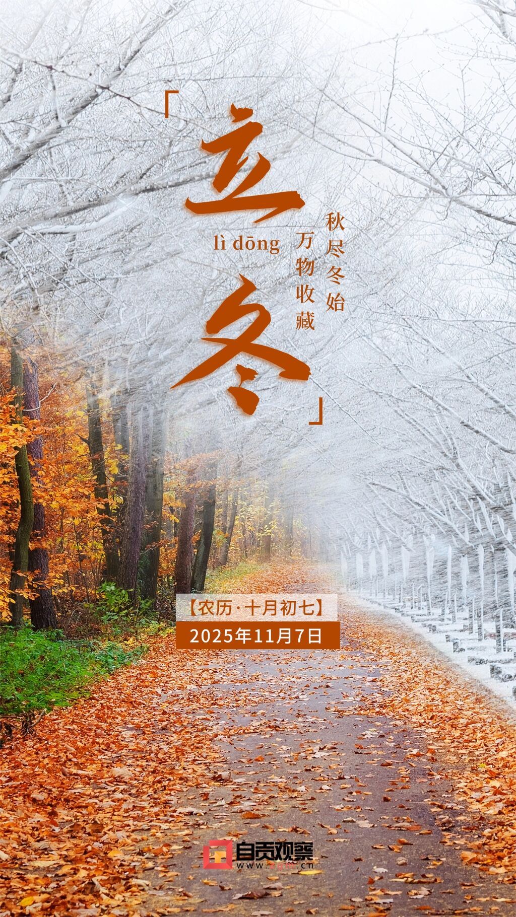 立冬节气祝福问候创意实景手机海报.jpg
