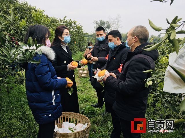 QQ图片20200218145112.jpg