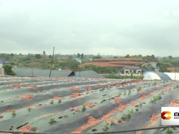 直播盐都｜五宝镇2026年迎新春文艺汇演