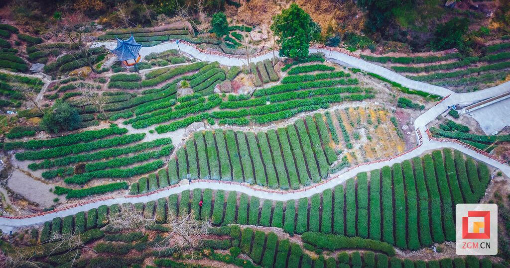DJI_0149.jpg