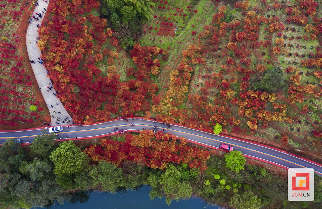DJI_0580.jpg
