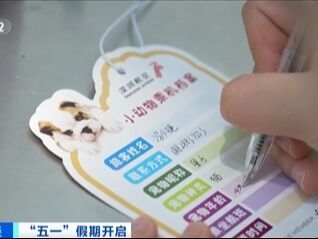 宠物友好航班来了 带“毛孩子”一起坐飞机客舱~