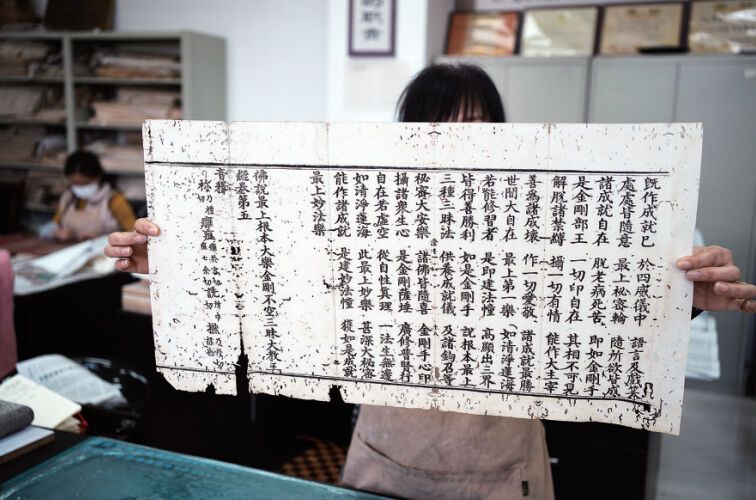 时光倒流 古籍重生(图8)