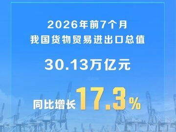 前7个月我国货物贸易进出口超30万亿元