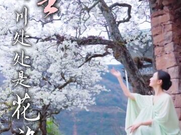 藏不住了！春天，总要为四川的“花海”们留一天吧