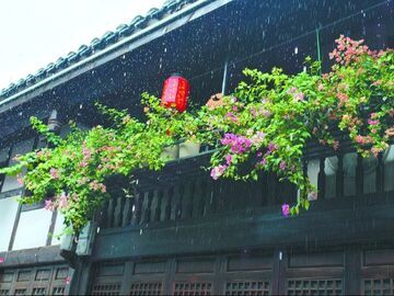 老屋蝶变 老街新生——仪陇新政老街改造记