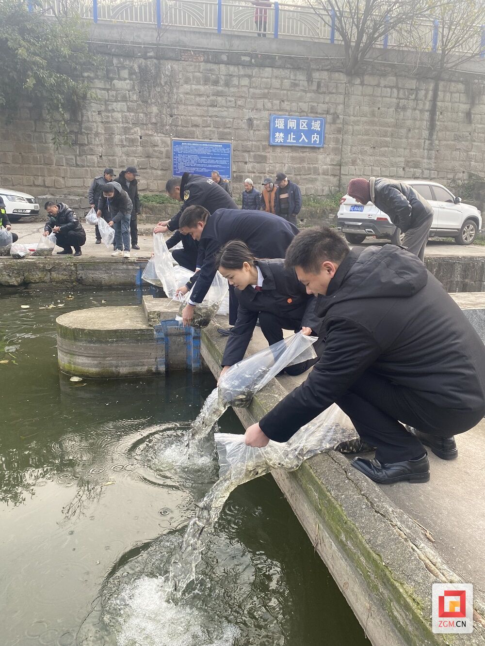 下载图片 (2).jpg