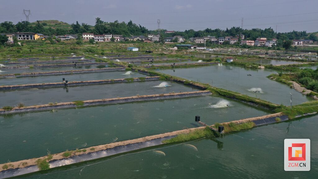 DJI_0025.jpg