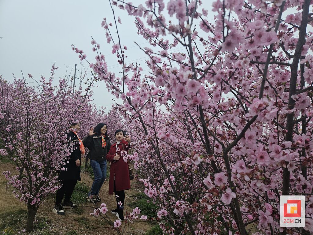 QQ圖片20240309093314.jpg