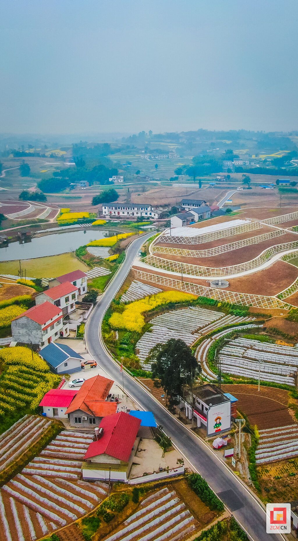 DJI_0854.jpg