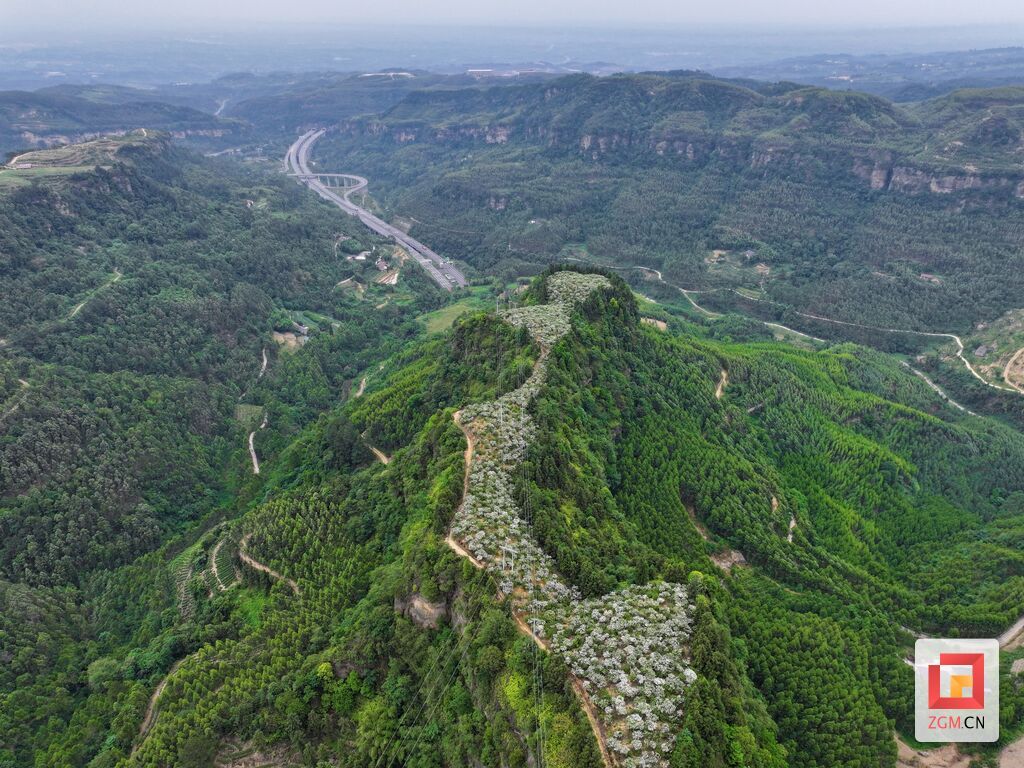 微信图片_20250524151528_副本.jpg