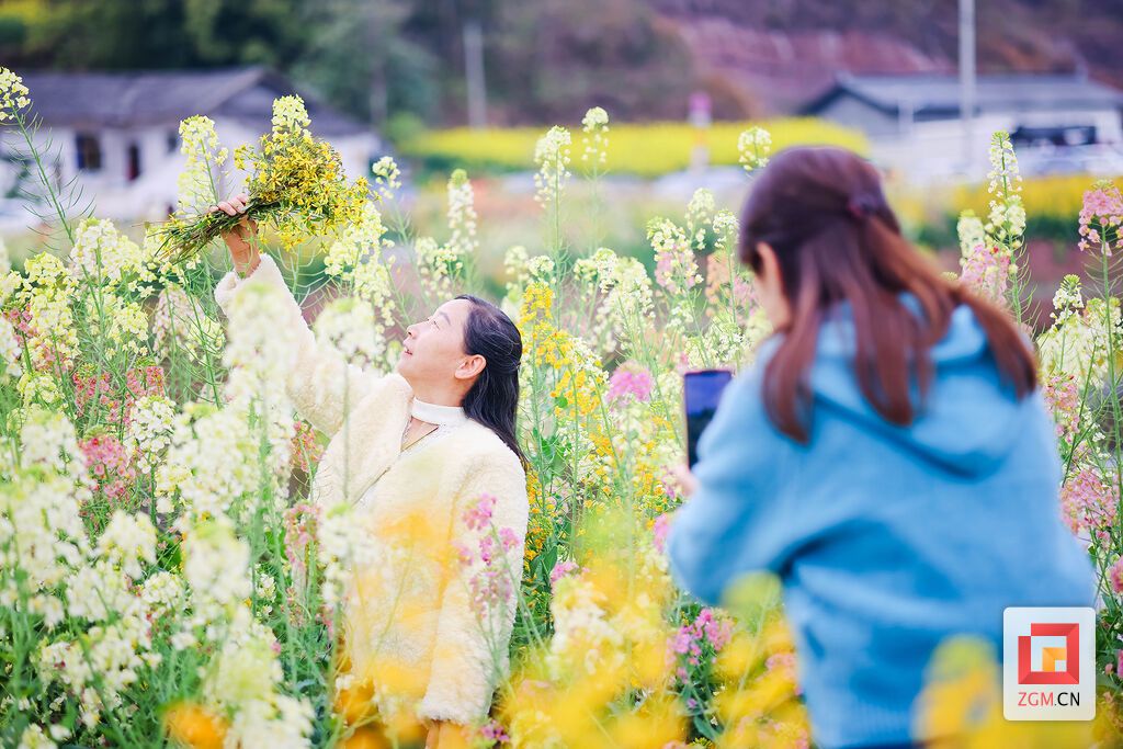 市民花田打卡 定格美好瞬间 记者 宋姿熠 摄.jpg