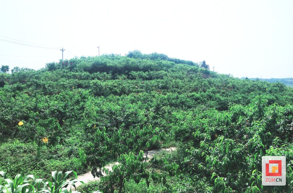 664e9b37f3603 拷貝.jpg