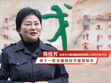 微视频丨第十一批全国岗位学雷锋标兵：陈桂芳