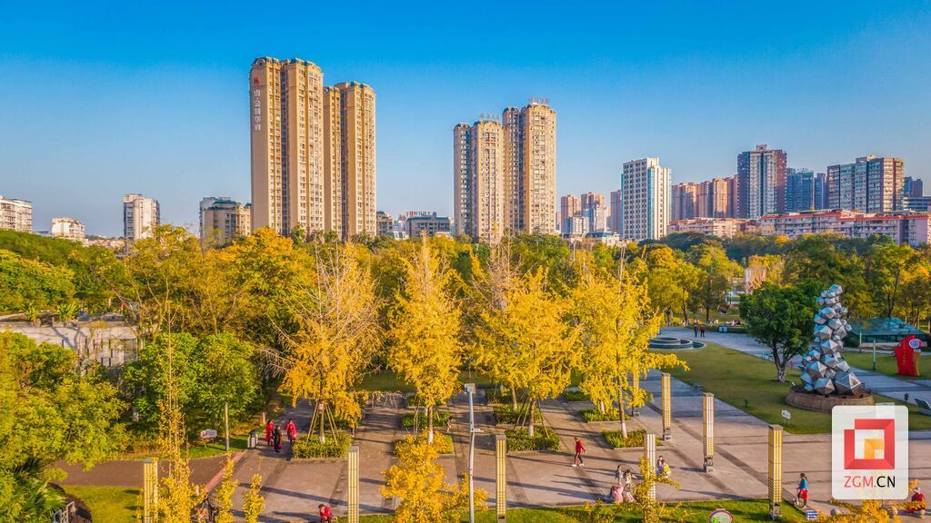 匯東公園郁郁蔥蔥的樹木褪去綠色，紅色、黃色給冬日填上繽紛的顏色。.jpg