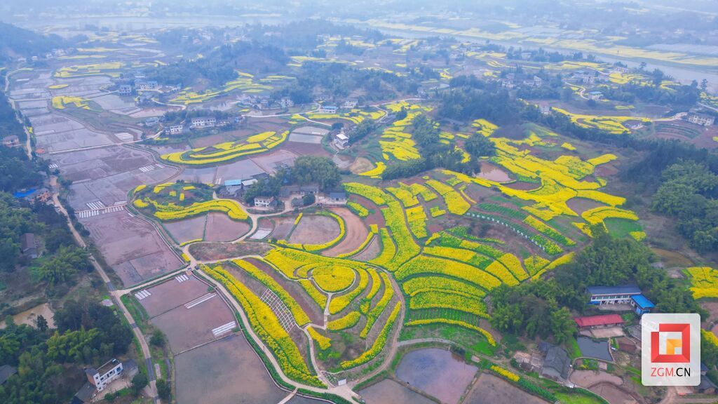 招标股份：公司在低空经济基础设施建设方面的业务主要集中于低空经济的下游产业链即无人机应用服务领域其主要应用于自然资源、生态农业、海洋渔业、文旅、应急巡检等多种场景中