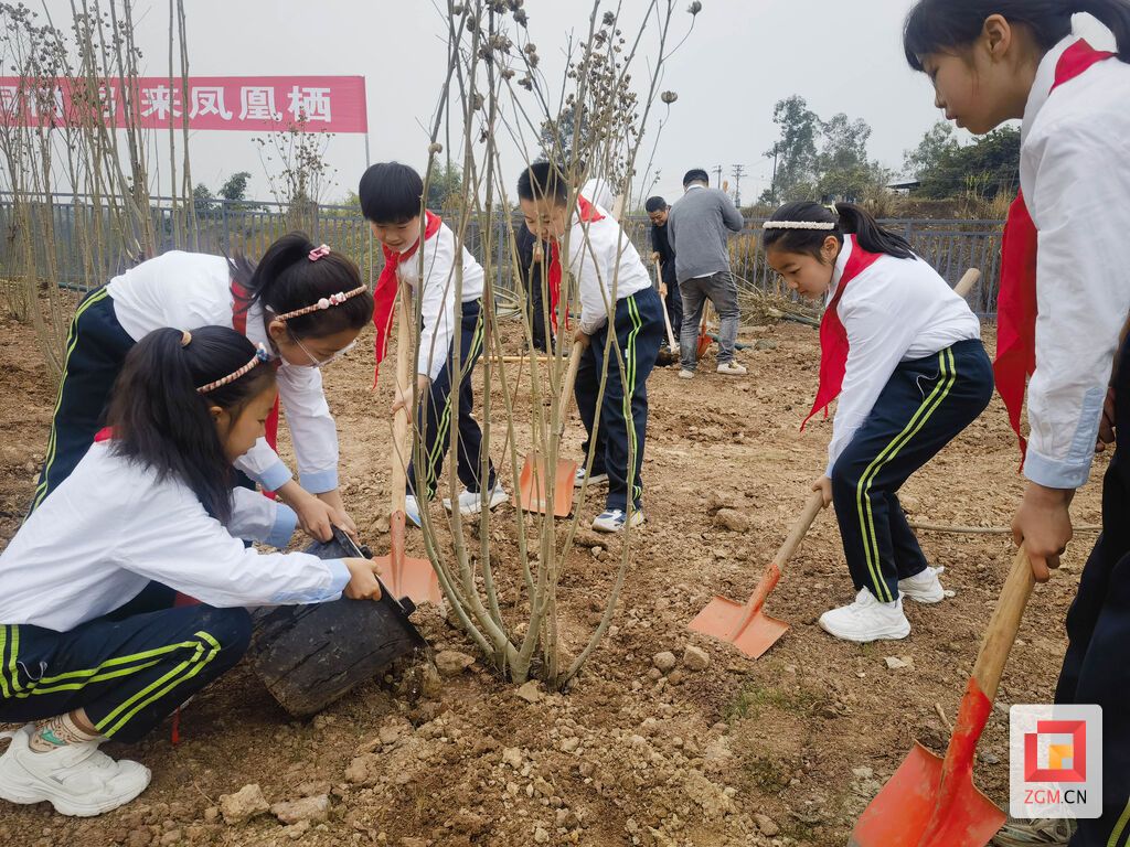 荣县树人小学校学生植树 记者 罗祥瑞 摄.jpg