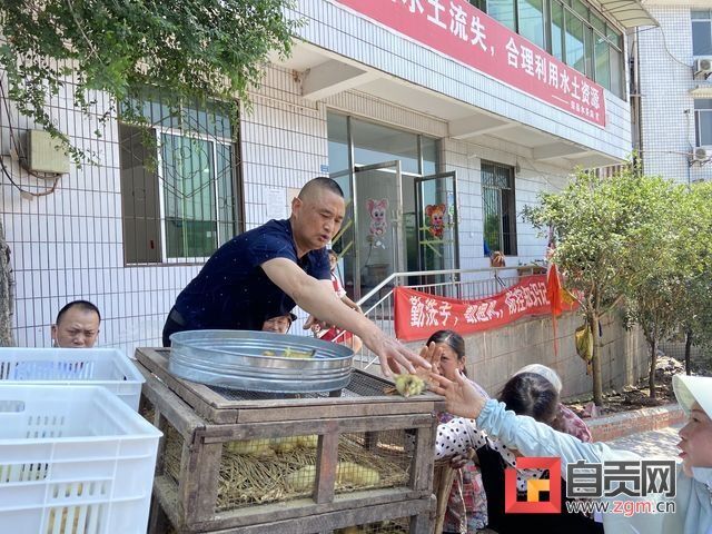 發(fā)鴨苗.jpg