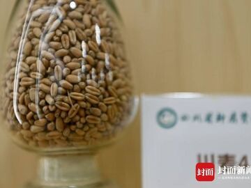 零下18℃封存万千种子！四川这座宝库守护农业未来｜万千气象看四川
