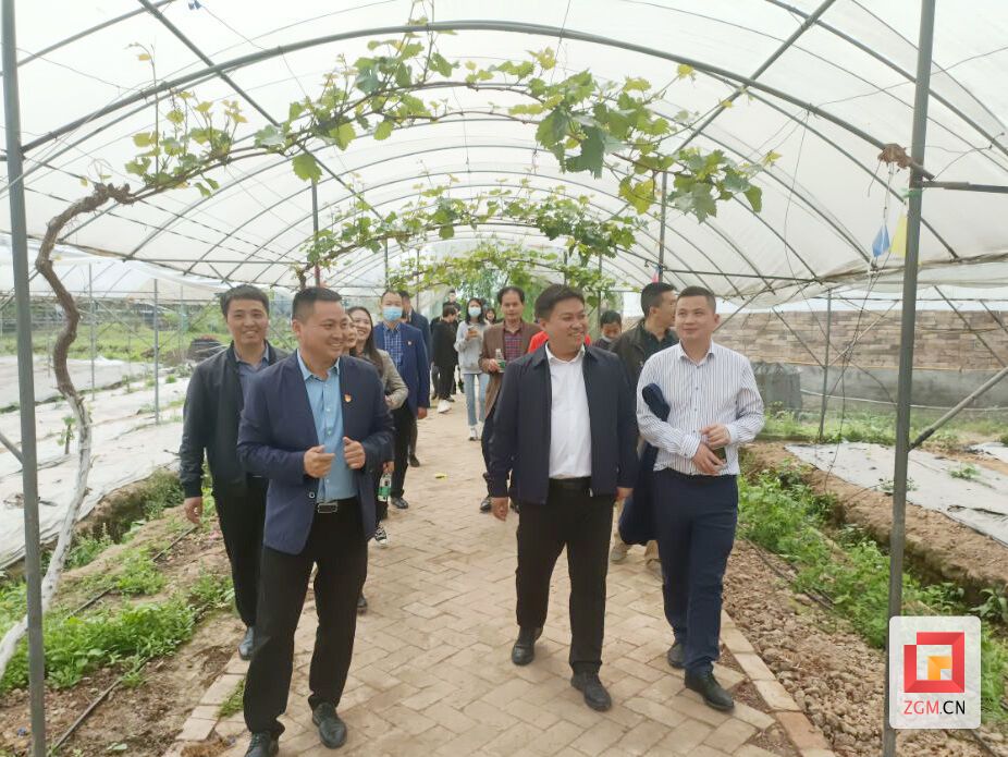 沿滩镇人民村葡萄基地.jpg