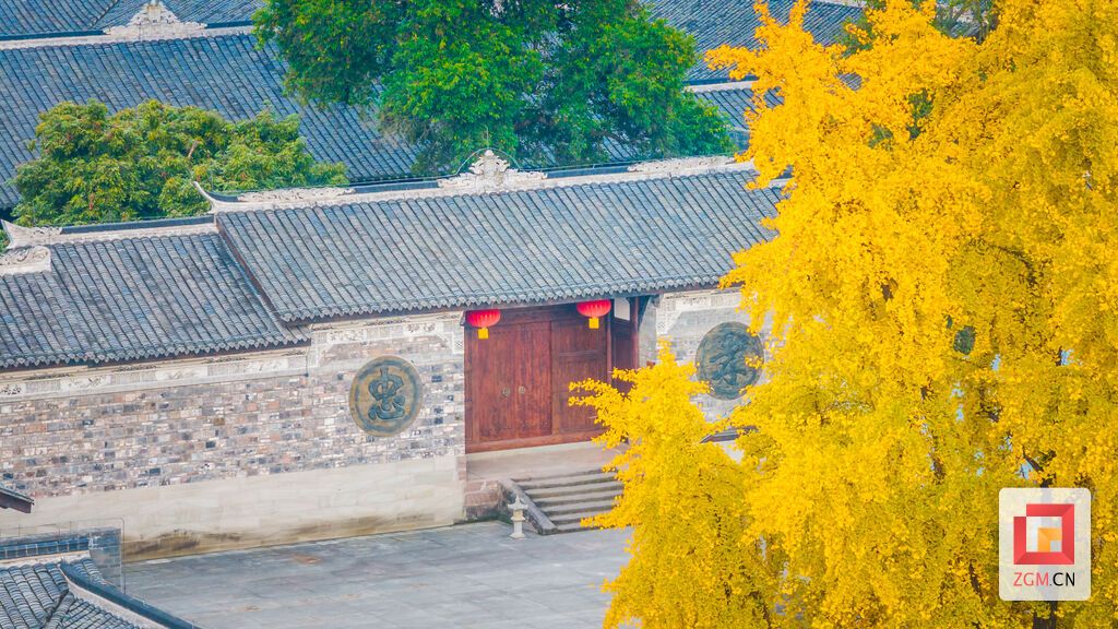 银杏与古建相依，金叶与灰墙互衬 记者 宋姿熠 摄.jpg