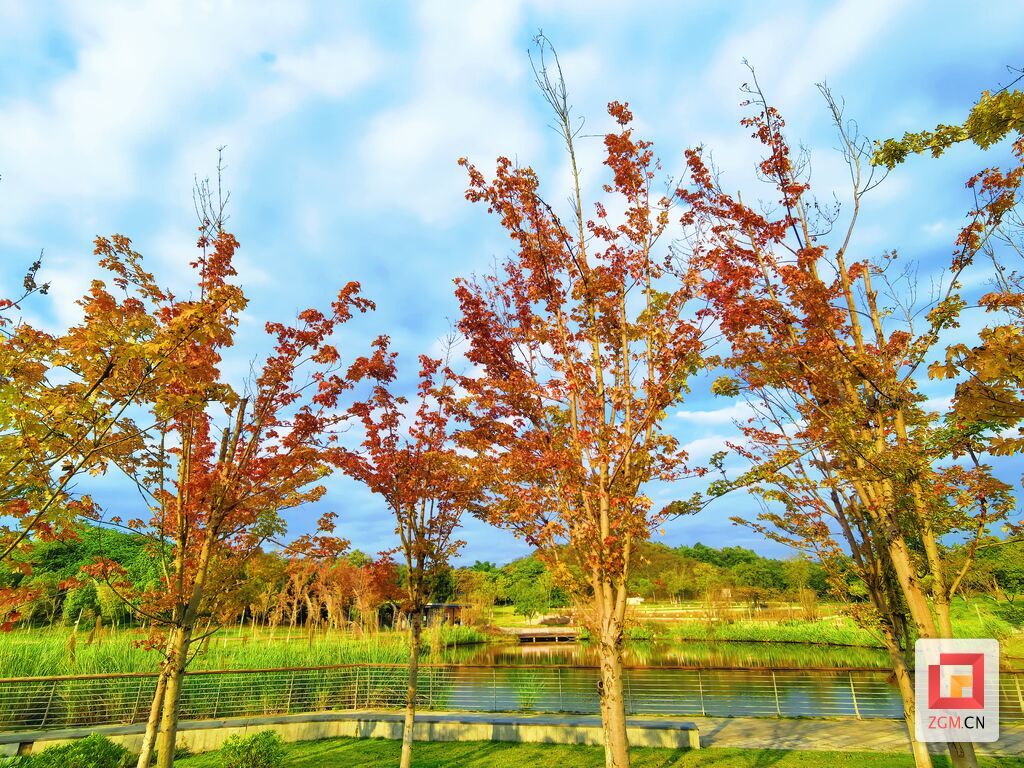 微信图片_20261019175829_261_2.jpg