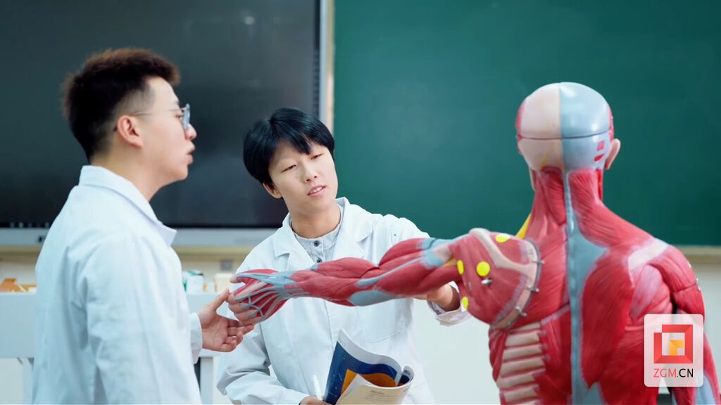 微信图片_20260601155051_4731_411.jpg