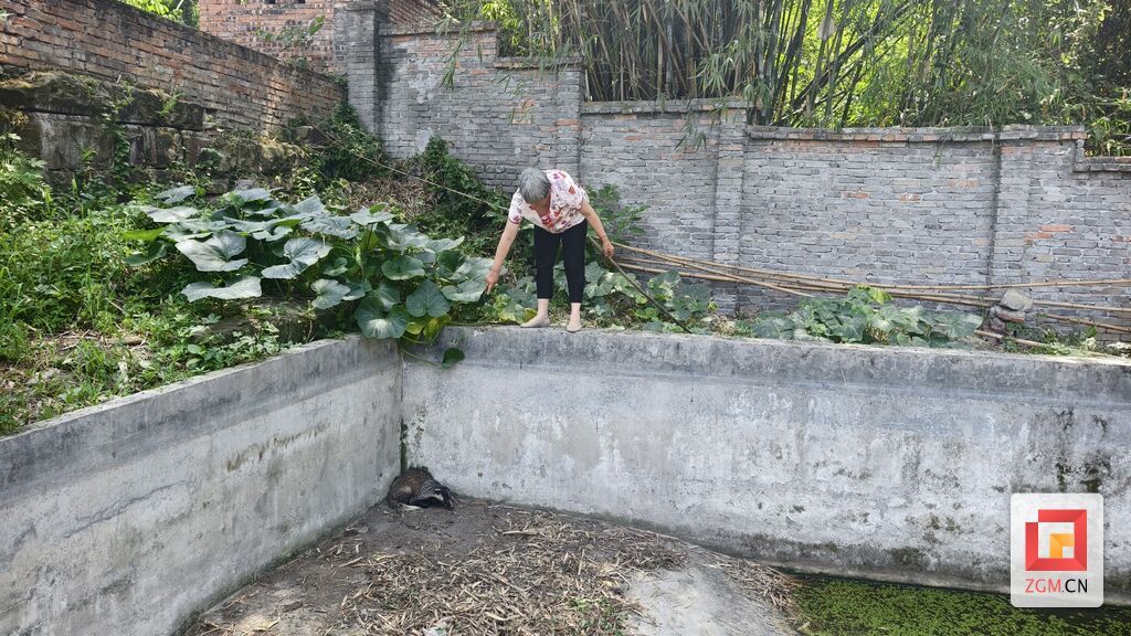 微信圖片_20250616134217.jpg