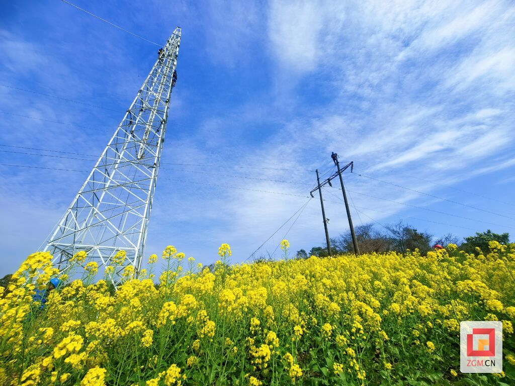 微信圖片_20250320101338.jpg