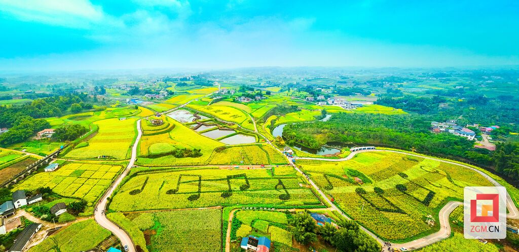 音符跃花海 记者 宋姿熠 摄.jpg