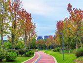 宜家河滨河公园秋景如画